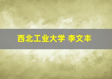 西北工业大学 李文丰